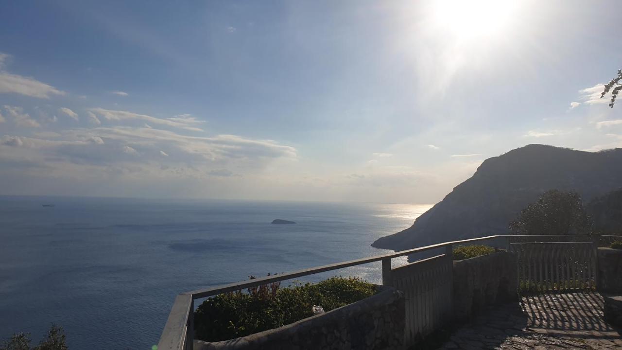 Grimaldi Guest Apartment Sorrento Exterior photo